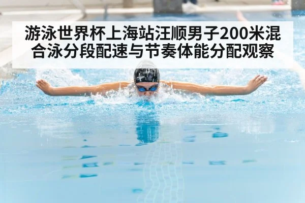 游泳世界杯上海站汪顺男子200米混合泳分段配速与节奏体能分配观察